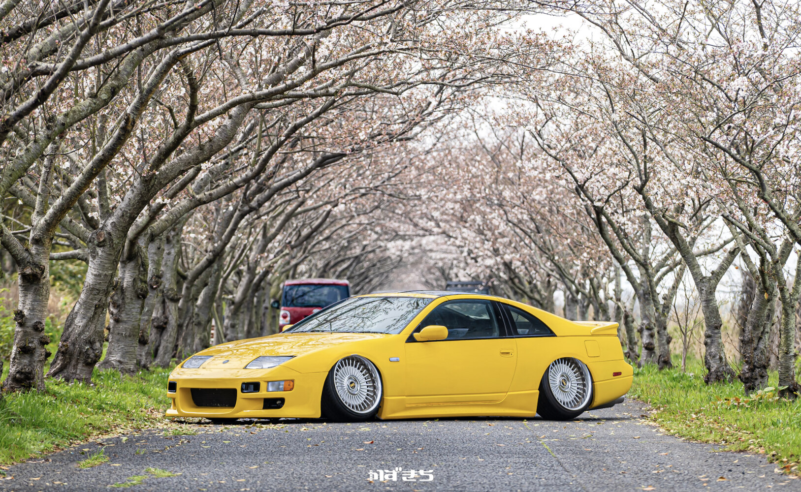 z32-イペルゴン